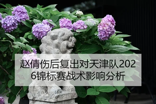 赵倩伤后复出对天津队2026锦标赛战术影响分析